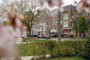 Ghent, Belçika 'da güzel kiraz çiçekleriyle süslenmiş güzel bir yerleşim yeri. Narin pembe çiçekler huzurlu ve büyüleyici bir bahar havası yaratır..