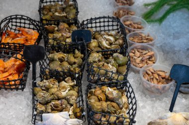 Meşhur Cancale pazarında canlı bir çiğ deniz ürünleri ve çeşitli balıklar gösterisi, Brittany 'nin zengin deniz tatlarını gözler önüne seriyor..