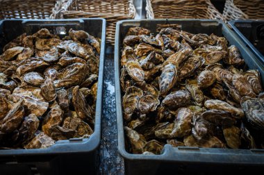 Cancale 'deki hareketli çiftlik pazarında taze toplanmış istiridyelerin yakın plan görüntüsü, birinci sınıf deniz ürünleri sunmalarıyla ünlüdür..