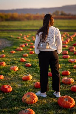 Sade beyaz kazaklı bir kadın sonbahar hasat mevsiminde renkli balkabakları ve süs kabaklarıyla dolu bir çiftlik pazarını keşfediyor..