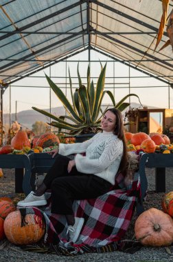 Sade beyaz kazaklı bir kadın sonbahar hasat mevsiminde renkli balkabakları ve süs kabaklarıyla dolu bir çiftlik pazarını keşfediyor..