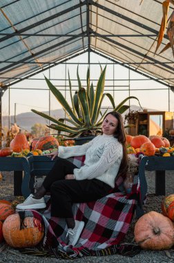 Sade beyaz kazaklı bir kadın sonbahar hasat mevsiminde renkli balkabakları ve süs kabaklarıyla dolu bir çiftlik pazarını keşfediyor..