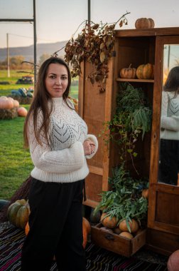 Sade beyaz kazaklı bir kadın sonbahar hasat mevsiminde renkli balkabakları ve süs kabaklarıyla dolu bir çiftlik pazarını keşfediyor..