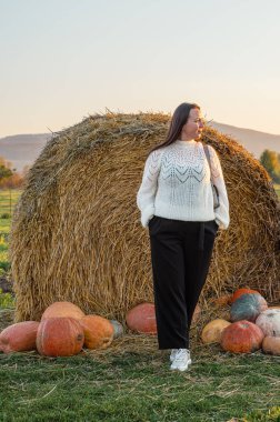 Sade beyaz kazaklı bir kadın sonbahar hasat mevsiminde renkli balkabakları ve süs kabaklarıyla dolu bir çiftlik pazarını keşfediyor..