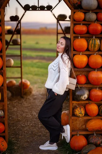 Dekoratif balkabaklarından yapılmış büyüleyici bir evin yanında duran rahat beyaz kazaklı bir kadın, sonbahar pazarında hasat mevsimini kutluyor..