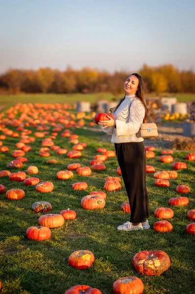 Sade beyaz kazaklı bir kadın sonbahar hasat mevsiminde renkli balkabakları ve süs kabaklarıyla dolu bir çiftlik pazarını keşfediyor..
