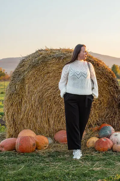 Sade beyaz kazaklı bir kadın sonbahar hasat mevsiminde renkli balkabakları ve süs kabaklarıyla dolu bir çiftlik pazarını keşfediyor..