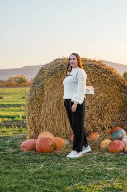 Sade beyaz kazaklı bir kadın sonbahar hasat mevsiminde renkli balkabakları ve süs kabaklarıyla dolu bir çiftlik pazarını keşfediyor..