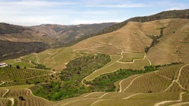 Douro Vadisi 'nin çarpıcı görüntüsü Portekiz' deki üzüm bağlarını terasa çıkardı. Yuvarlanan tepeler, yemyeşil sarmaşıklar ve dolambaçlı nehir bu şarap bölgesinde nefes kesici bir manzara yaratır..