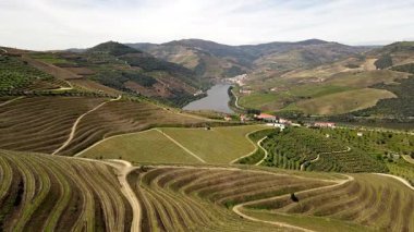 Douro Vadisi 'nin çarpıcı görüntüsü Portekiz' deki üzüm bağlarını terasa çıkardı. Yuvarlanan tepeler, yemyeşil sarmaşıklar ve dolambaçlı nehir bu şarap bölgesinde nefes kesici bir manzara yaratır..