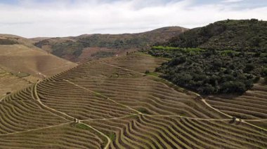 Douro Vadisi 'nin çarpıcı görüntüsü Portekiz' deki üzüm bağlarını terasa çıkardı. Yuvarlanan tepeler, yemyeşil sarmaşıklar ve dolambaçlı nehir bu şarap bölgesinde nefes kesici bir manzara yaratır..