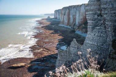 Etretat 'ın ikonik tebeşir kayalıkları ve turkuaz suları güneş ışığı altında parlayarak Normandiya' nın doğal güzelliğini ve huzurlu sahil şeridini gözler önüne seriyor..