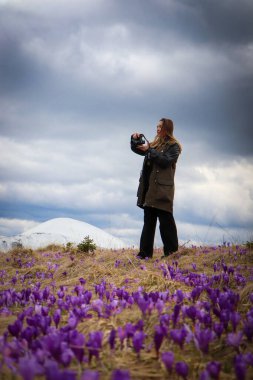 Genç bir kadın, canlı, çiçek açan timsahlarla çevrili Karpat Dağları 'nın nefes kesici güzelliğinin tadını çıkarıyor. Arka plandaki sihirli tepeler çarpıcı bir doğal manzara yaratır..