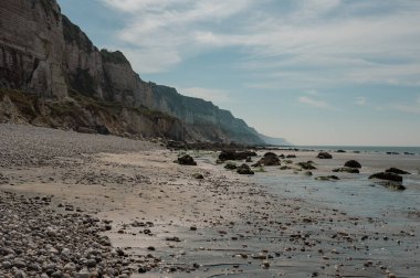 Huzurlu bir nehir, sakin bir sahil manzarasında tatlı suyu tuzlu suyla harmanlayarak açık denize doğru yol alır..