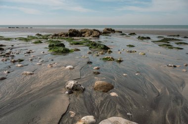 Huzurlu bir nehir, sakin bir sahil manzarasında tatlı suyu tuzlu suyla harmanlayarak açık denize doğru yol alır..