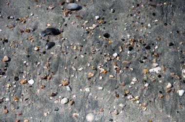 Huzurlu bir nehir, sakin bir sahil manzarasında tatlı suyu tuzlu suyla harmanlayarak açık denize doğru yol alır..