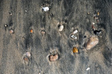Huzurlu bir nehir, sakin bir sahil manzarasında tatlı suyu tuzlu suyla harmanlayarak açık denize doğru yol alır..