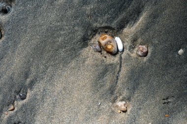 Huzurlu bir nehir, sakin bir sahil manzarasında tatlı suyu tuzlu suyla harmanlayarak açık denize doğru yol alır..