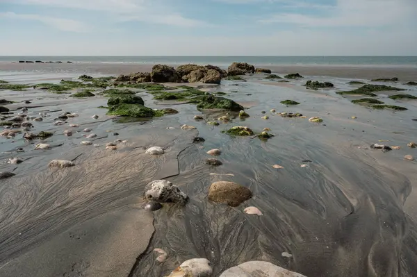 Huzurlu bir nehir, sakin bir sahil manzarasında tatlı suyu tuzlu suyla harmanlayarak açık denize doğru yol alır..