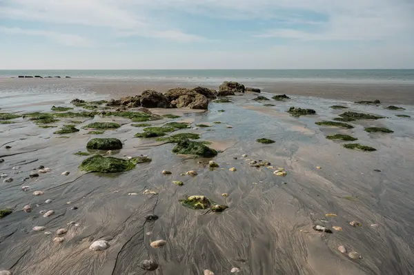 Huzurlu bir nehir, sakin bir sahil manzarasında tatlı suyu tuzlu suyla harmanlayarak açık denize doğru yol alır..