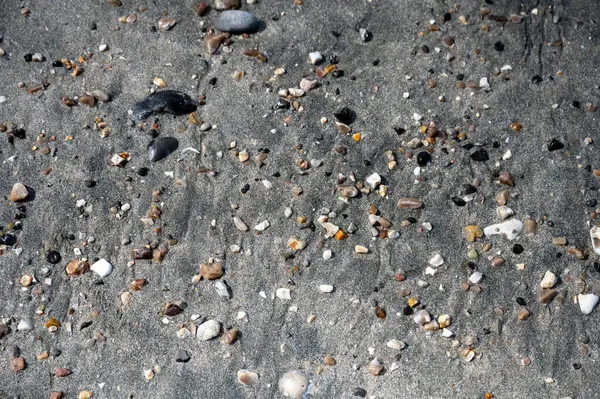 Huzurlu bir nehir, sakin bir sahil manzarasında tatlı suyu tuzlu suyla harmanlayarak açık denize doğru yol alır..