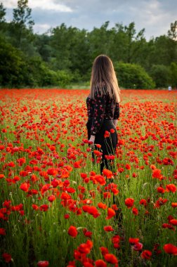 Güzel bir kız canlı kırmızı gelinciklerin arasında duruyor, gülümsüyor ve yaz melteminin tadını çıkarıyor. Sahne mutluluğu, rahatlığı ve doğanın güzelliğini tam çiçeklenirken yakalar..