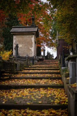 Gent, Doğu Flanders, Belçika. Gent, Sint-amandsberg belediyesindeki Campo Santo tarihi mezarlığında antik mezarlık ve mezar taşları. Yüksek kalite fotoğraf