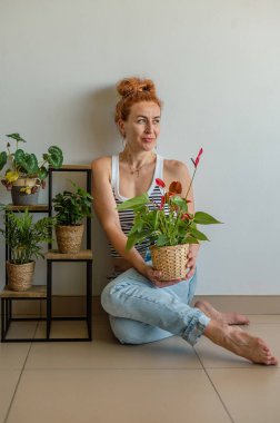 Egzotik bitkilerle çevrili çekici bir kadın, bir portakalda fideleri yeniden ekiyor. Evde bahçe eğlencesi.