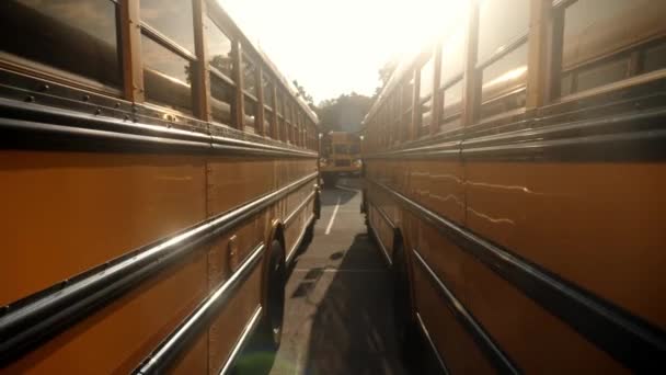 Caminando Entre Dos Autobuses Escolares Amarillos — Vídeo de stock