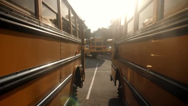Sarı Okul Otobüsü Arasında Yürürken — Stok video