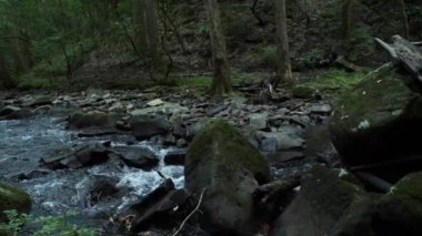 Ormanda kayaların yanında küçük bir şelale.