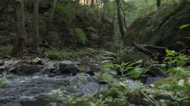 Ormanda kayaların yanında küçük bir şelale.