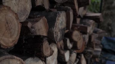 Arka bahçede yakacak odun yığını