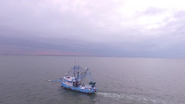 Повітряний Вид Човен Креветок Плаває Відкритій Воді Атлантичному Океані Тягне — стокове відео