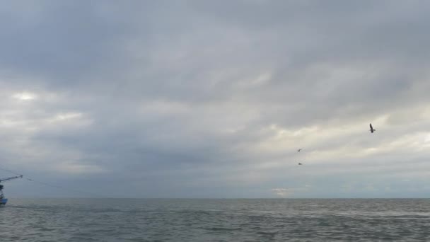 Shrimping Trawler Fischerei Offenen Ozean Mit Netzen Wasser — Stockvideo