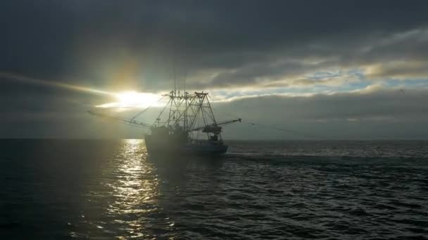 Спрощена Риболовля Траулером Одразу Після Сходу Сонця Сітками Воді — стокове відео