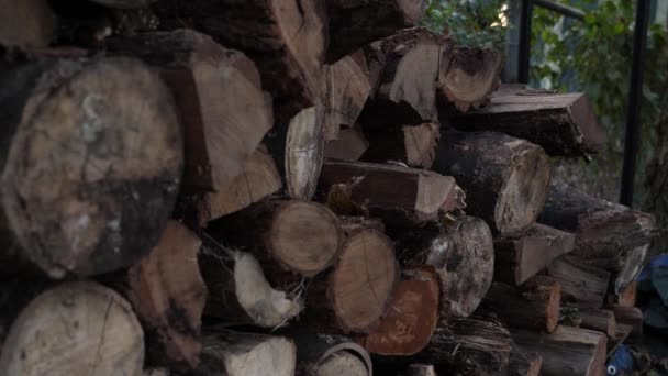 Firewood Pile Backyard Video de stock libre de derechos