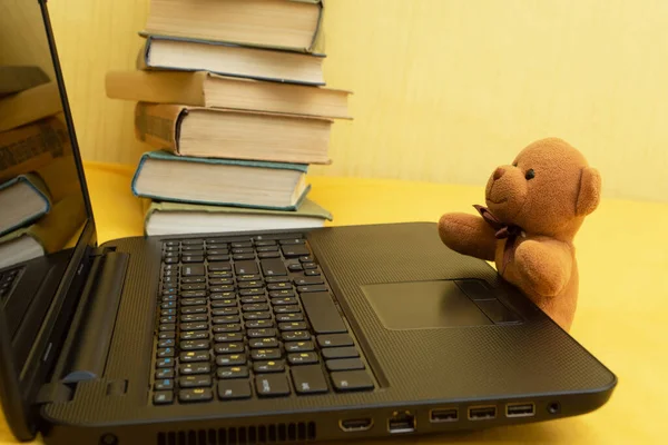 Little teddy bear with books and laptop, study.