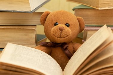 Funny teddy bear with books.