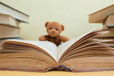 Funny teddy bear with books.