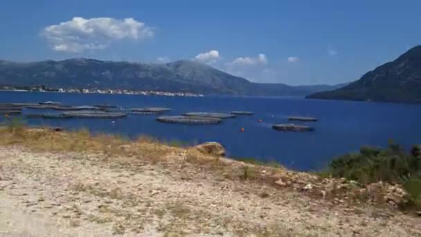 그리스의 카스로 도로를 운전하면서 양어장들을 지나는 — 비디오
