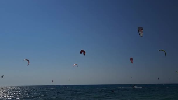 Lefkadaön Grekland 2023 Allmän Bild Många Drakar Kitesurfing Klarblå Himmel — Stockvideo
