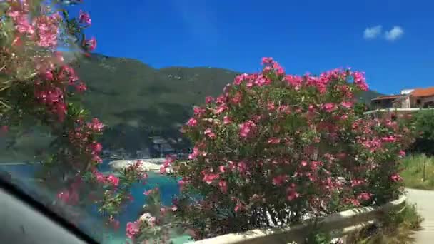 レフカダ ギリシャ 2023 小さなビーチを眺めながらワシリキリゾートの海岸線に沿ってドライブ休暇 — ストック動画