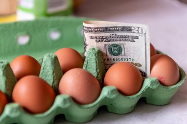 Yaşam maliyeti, gıda enflasyonu konsepti ve bir paket yumurta içinde Amerikan doları banknotları..