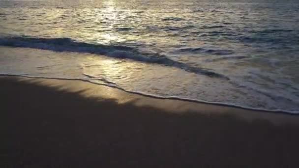 Gouden Zonlicht Strandgolven Bij Zonsondergang — Stockvideo