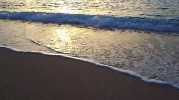 日没のビーチの波の黄金の日光 — ストック動画