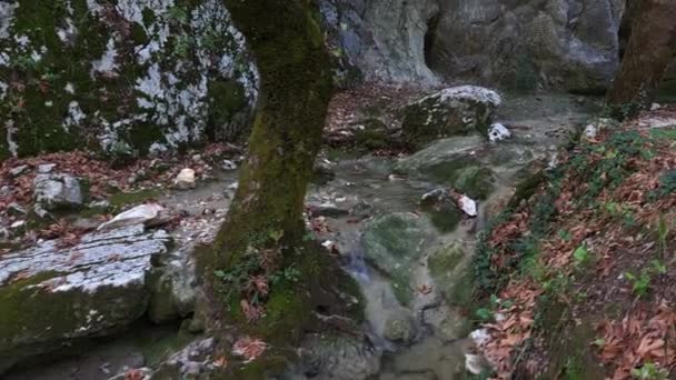 滝につながる川のベッドに続くウォーキングトレイル ニドリ滝について レフリーナ ギリシャ — ストック動画