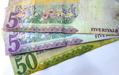 Suudi banknotlarını beyazla izole et.