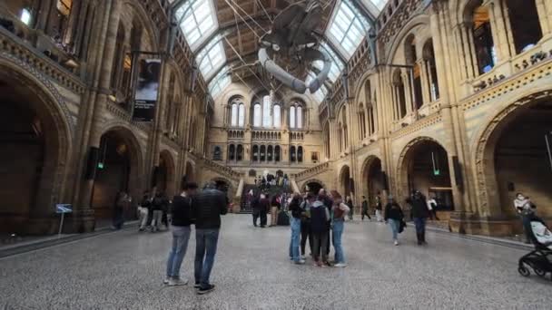 London 2024 Moving Hintze Hall Natural History Museum Crowd Visitors — Stock Video