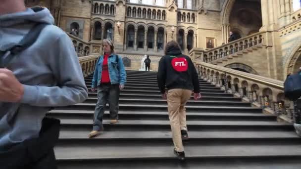 London 2024 Point View Clip Visitor Natural History Museum Walking — Stock Video